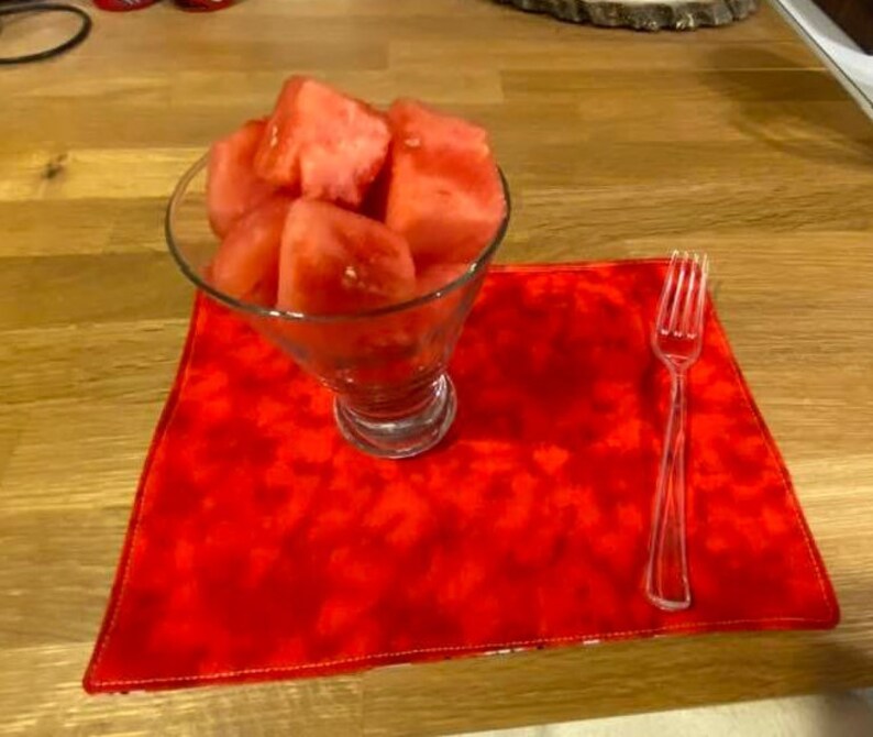 Watermelon Mug Rug